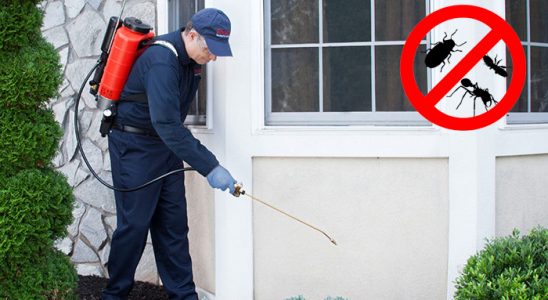 Erciş Böcek İlaçlama böcek ilaçlama ve haşere kontrolü — ilaclama-tr.com